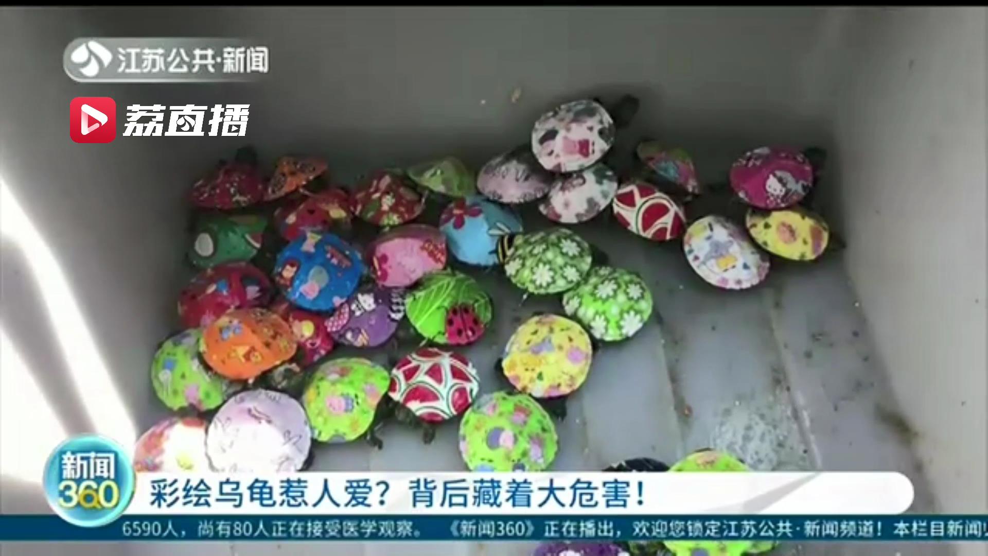 彩绘小乌龟有毒吗,彩绘小乌龟的危害