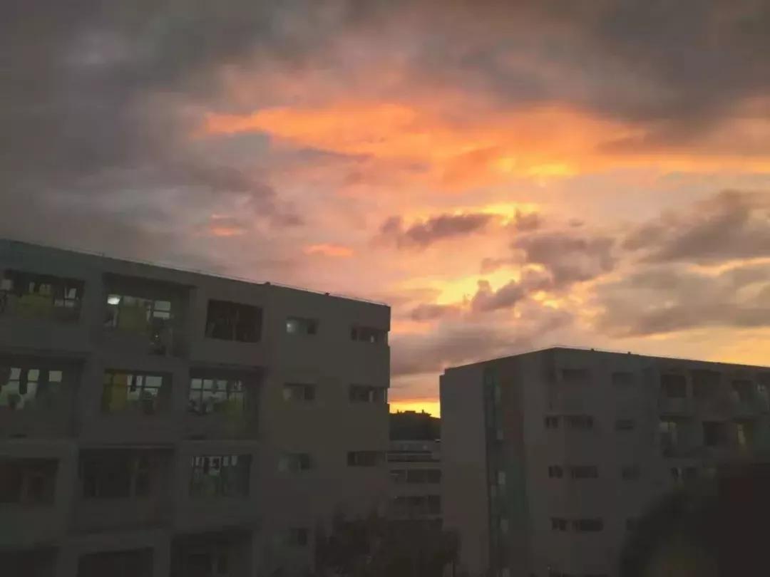 辽宁省高校（三十一）大连医科大学