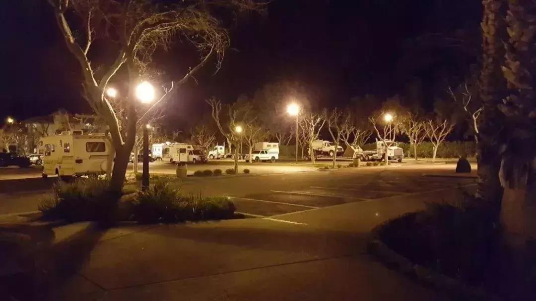 吃老鼠药死亡事件,吃老鼠药孕妇生下的孩子