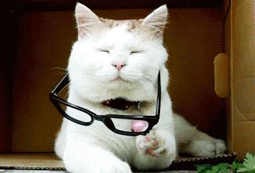 眼睛受伤了如何急救效果最好,眼睛受伤了怎么办最快最有效