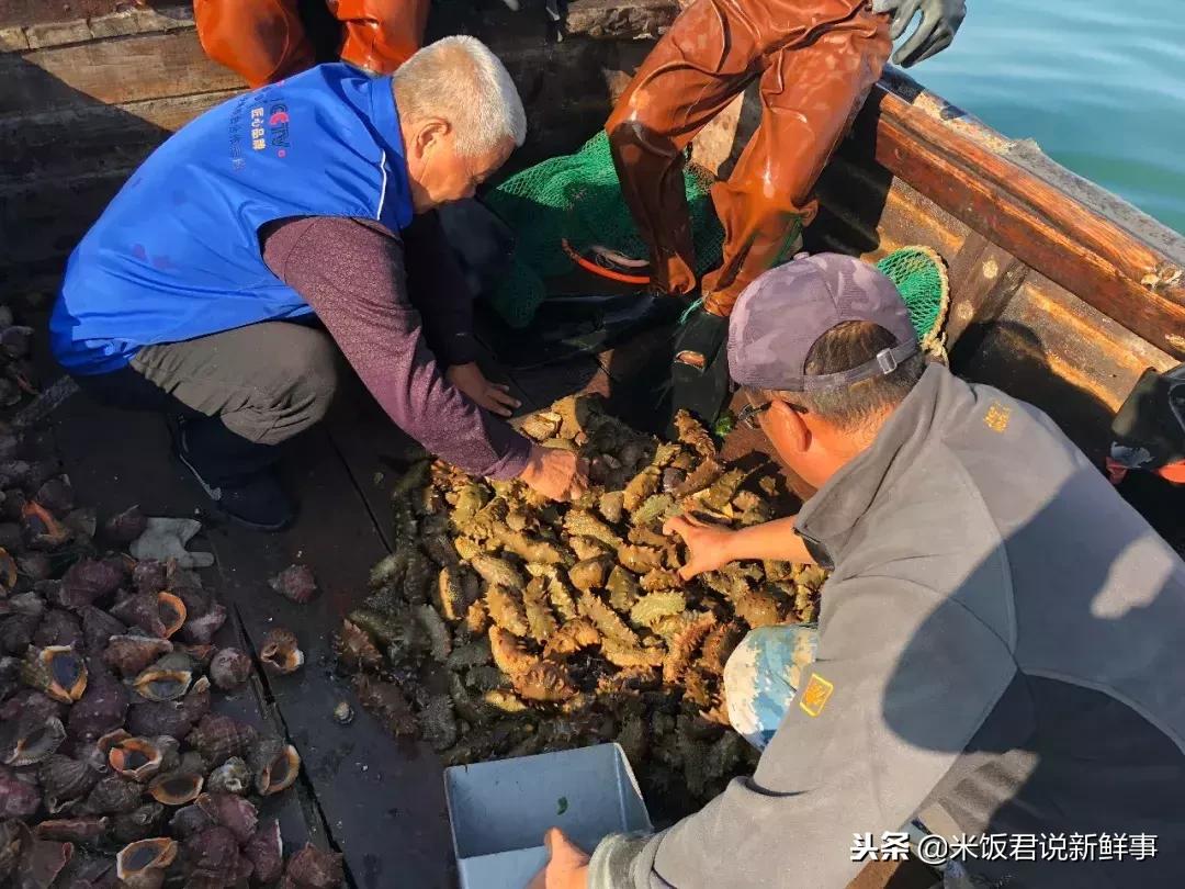 65岁妈妈买海参,老人用白菜价买海参