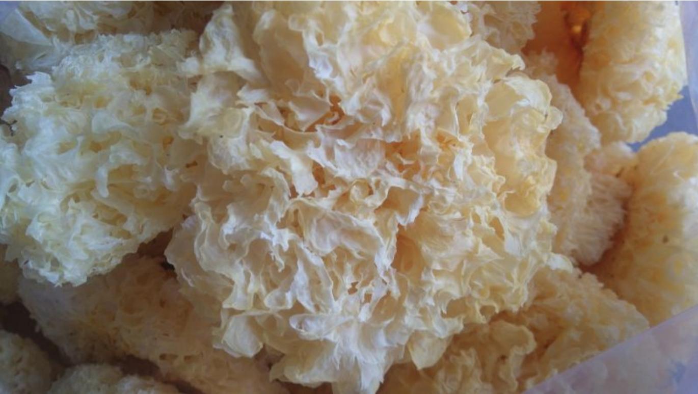 银耳莲子百合红枣枸杞汤的做法,百合莲子银耳雪梨汤的做法大全