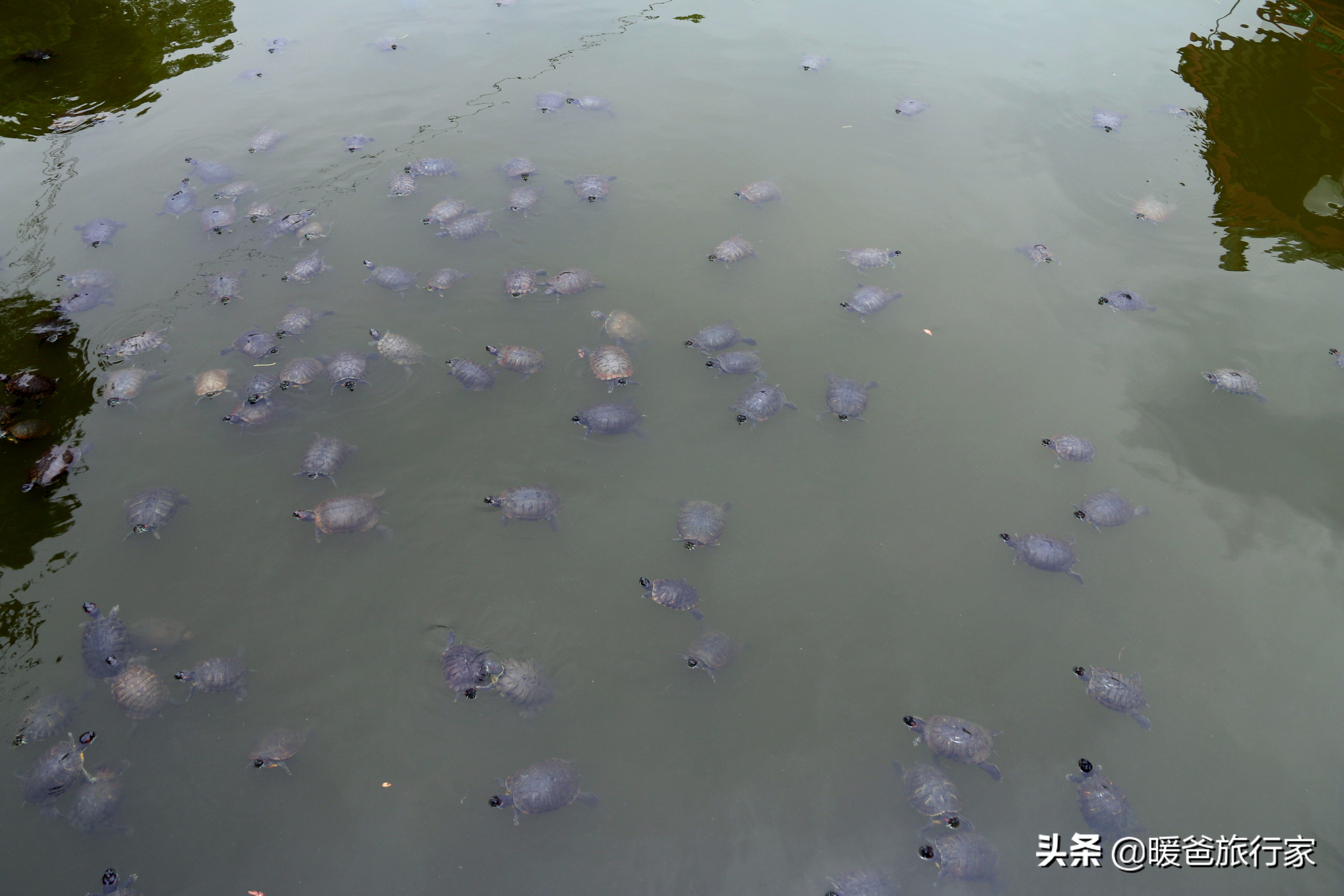 除了买买买还能做点啥？懒人傻瓜攻略带你三天玩转日本大阪！