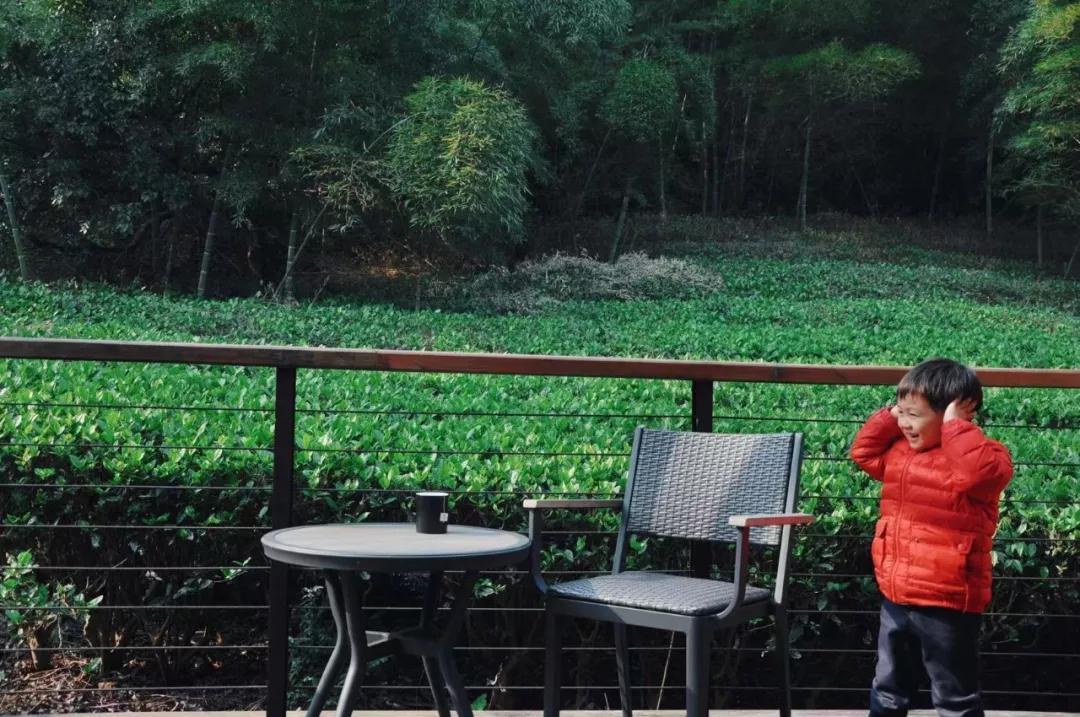 浪漫树屋、奇妙酒店、恒温水乐园...去江浙沪Top酒店跨个30℃的年