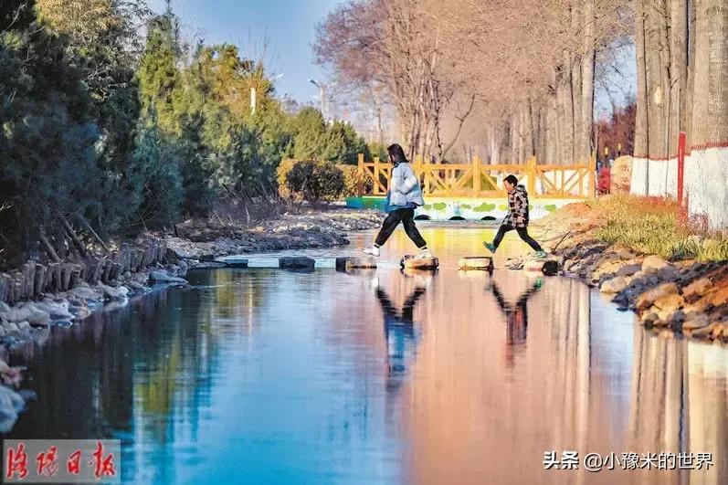 向洛阳人发出邀请国潮盛宴来袭,洛阳发布通知