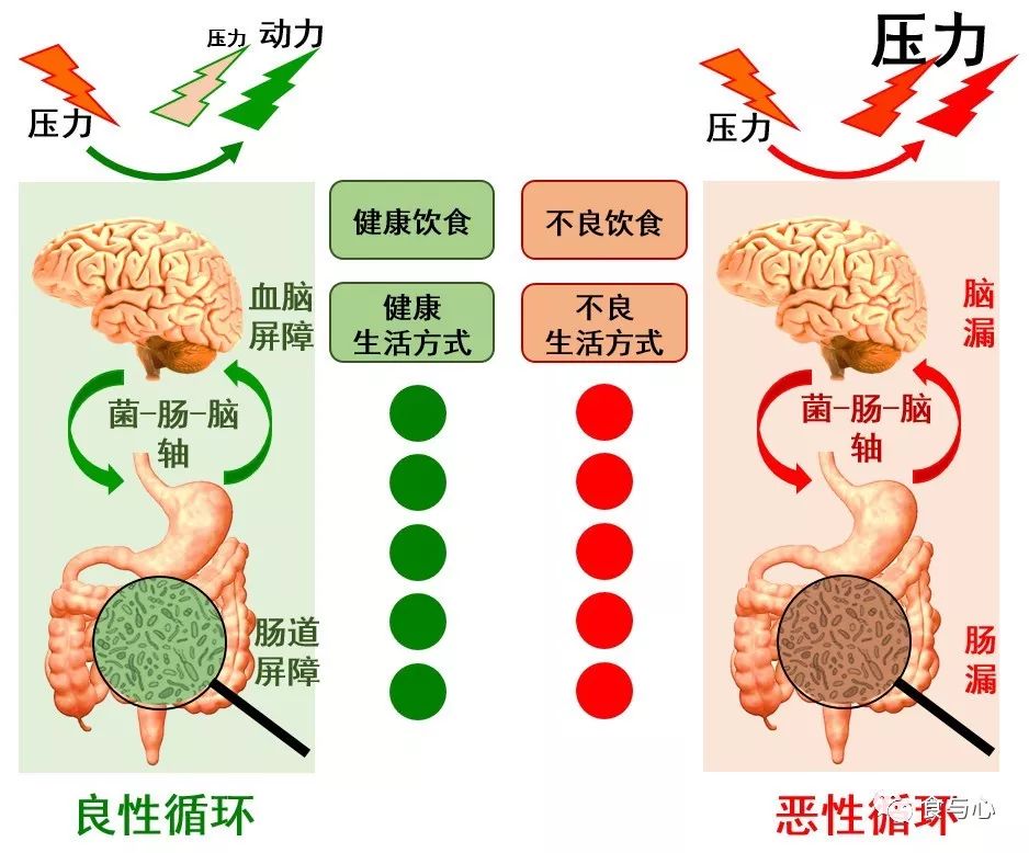 饮食调节改善抑郁,抑郁饮食吃什么好