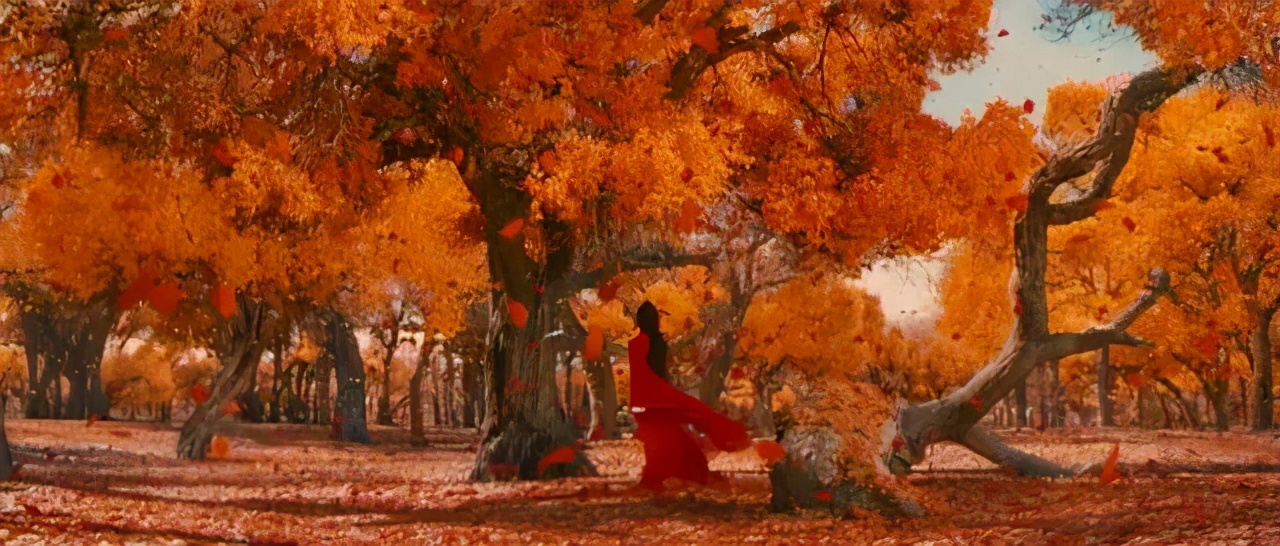 英雄是好片还是烂片,英雄算不算烂片