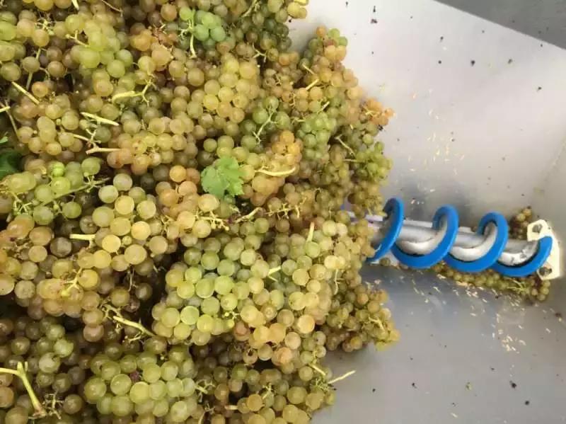 真正的红酒是怎么酿造的,喝了这么多年酒