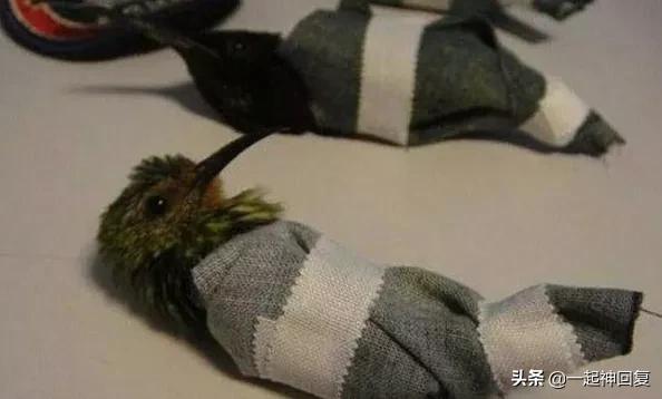 从体内取出17cm的异物,到底有多累