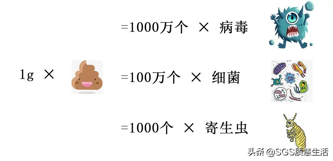 我们每天穿的*裤内**竟然比“细菌窝”还脏！*裤内**要多久要换一次？