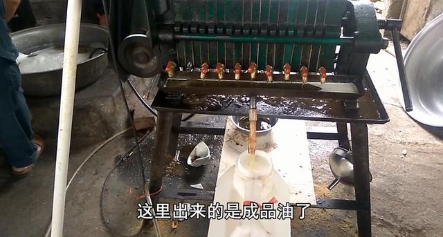 专家说农村自榨花生油不能吃,小伙公开榨油过程,专家不说话了