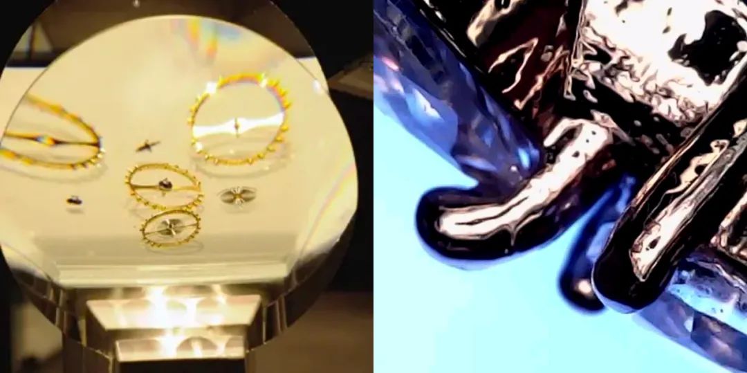 暑假孩子玩手机不如打篮球吧,儿童显微镜放大蚂蚁120倍