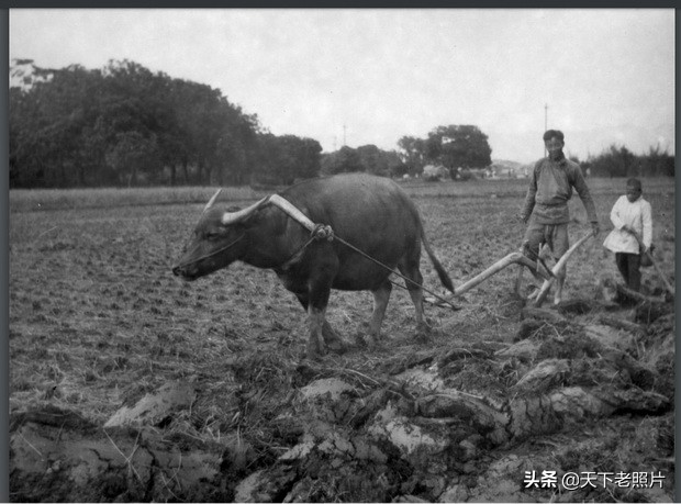 1987年福建福州老照片图文,福州古林寺老照片