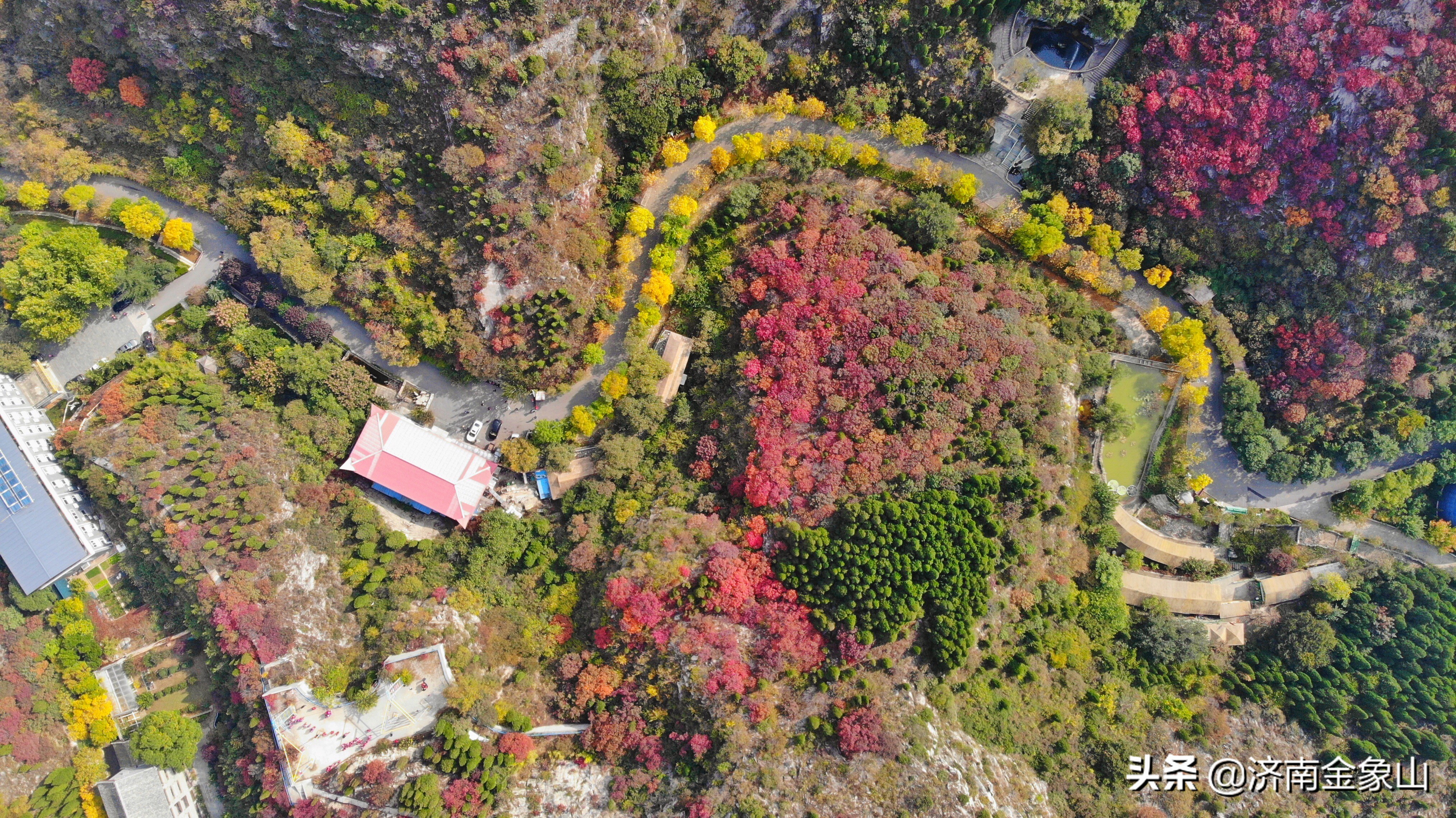 金象山风景区在哪里啊,金象山咋样