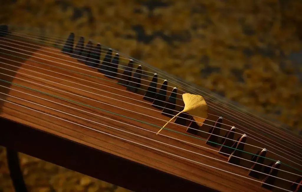 古筝发霉潮湿怎么办,古筝太阳晒后怎么补救