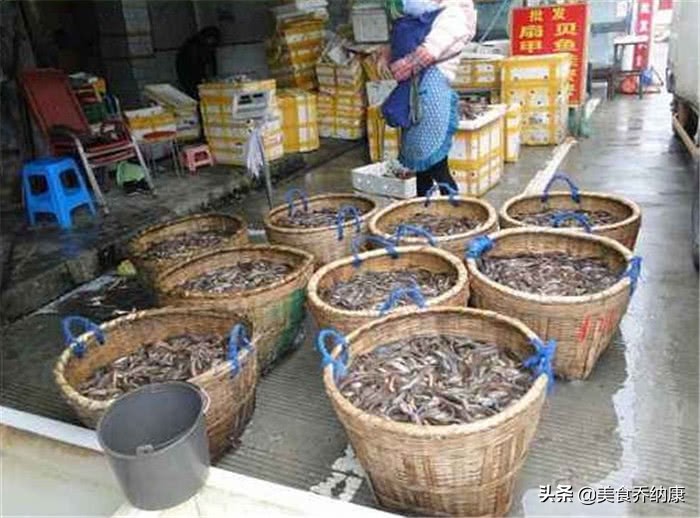 价格低迷3个月，至今难上8元，渔民却已经开始投苗