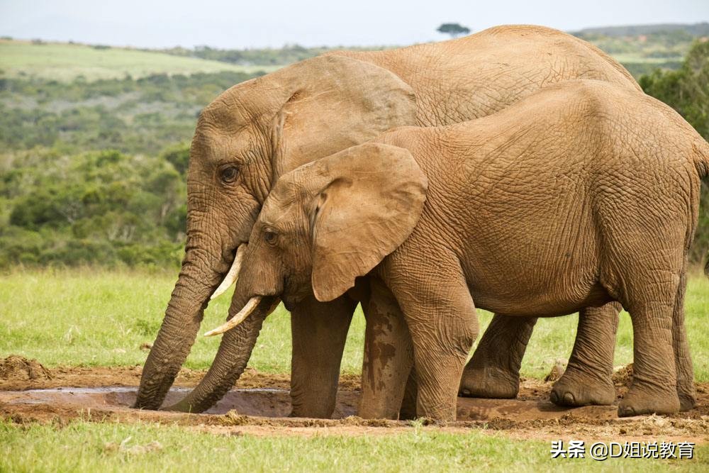 中秋主题亲子阅读,中秋主题绘本阅读推荐