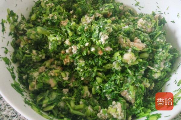 茴香肉饺子怎么调馅简单肉香,茴香肉怎么包饺子