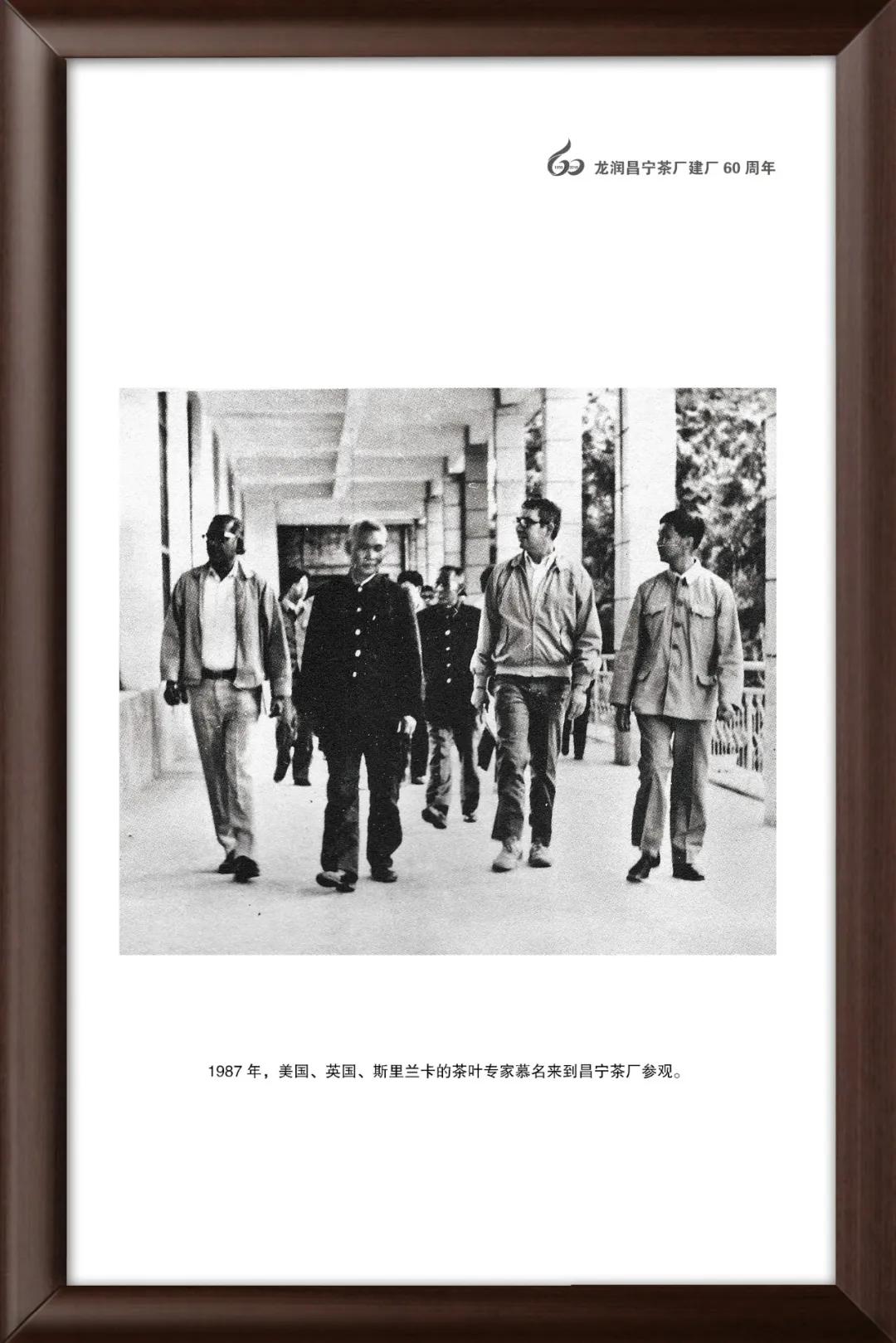 龙润茶大金芽1958,龙润大金芽好茶