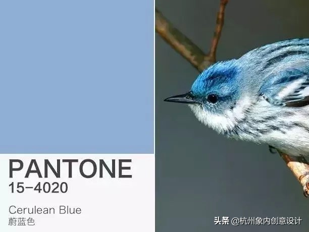pantone2023流行色对冲色,2024pantone流行色色号