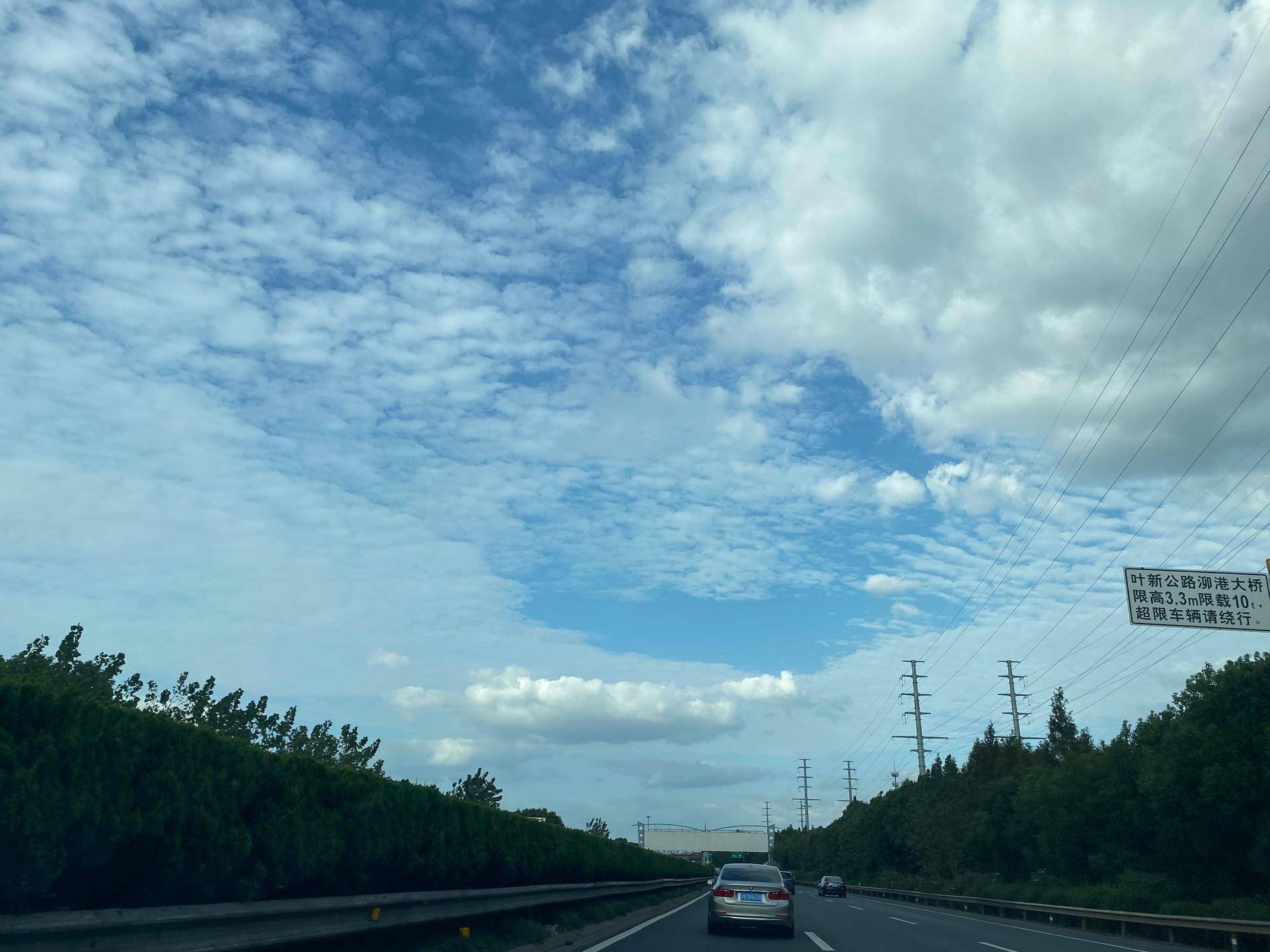 上海荔枝杯平衡车视频比赛 (荔枝杯宁波站平衡车比赛现场)