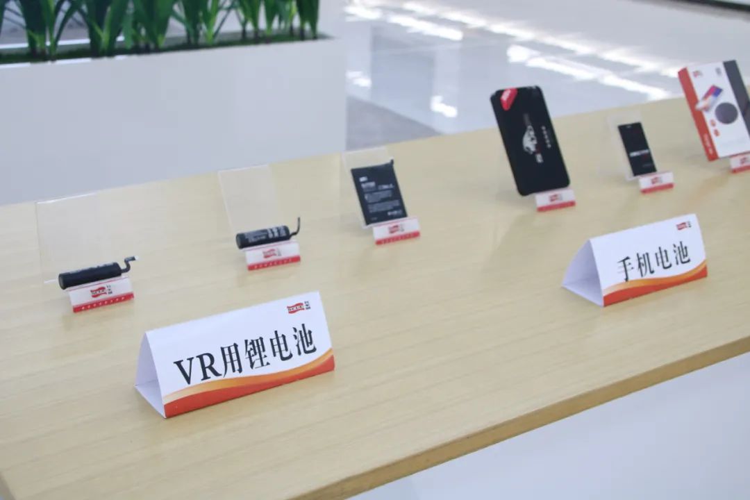 飞毛腿老板方金福建哪里人,飞毛腿集团董事长方金多大