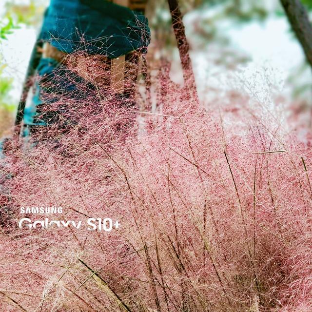 中国军事禁地风景区,玄武湖是中国最大的皇家园林湖