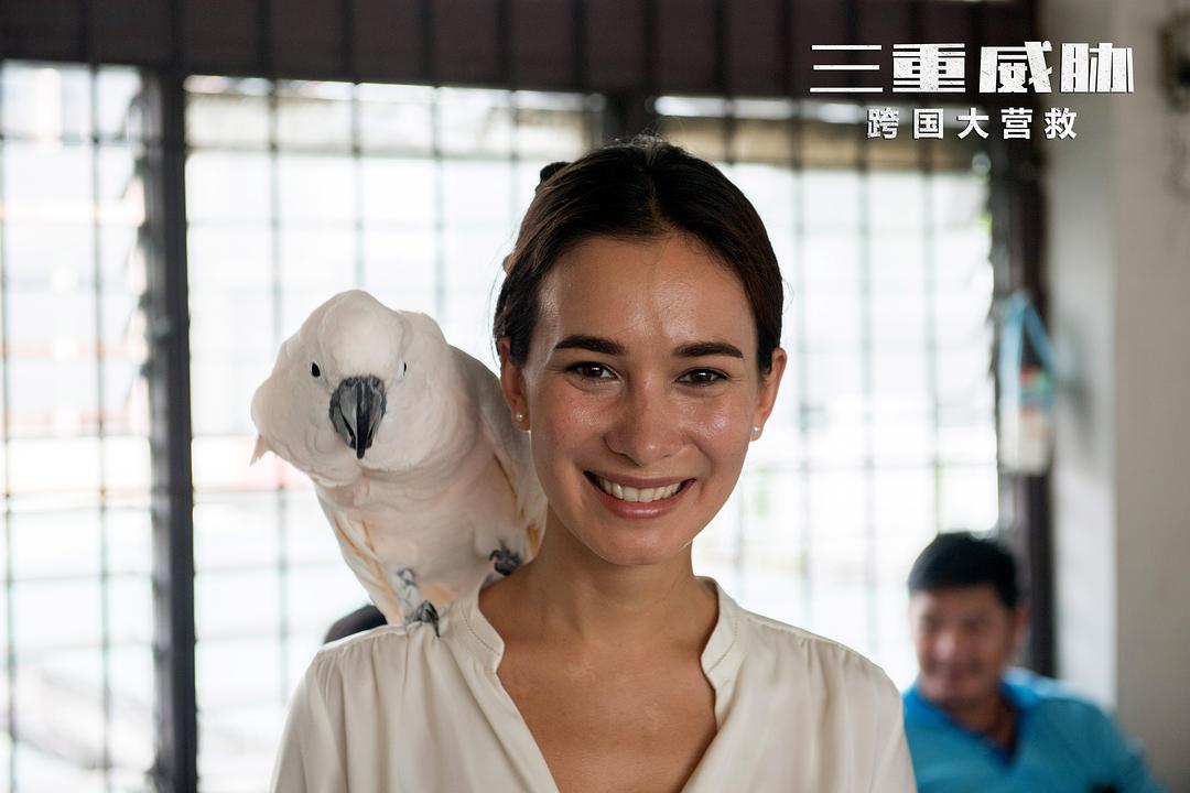 三重威胁之跨国大营救解说,三重威胁之跨国大营救在线观看