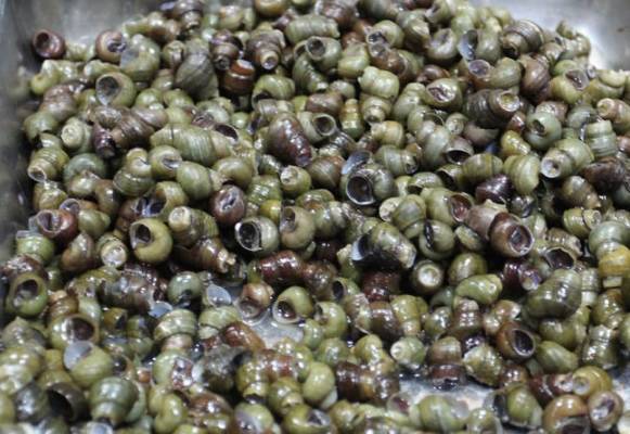 云南特产山货血三七,云南独有的44种野菜