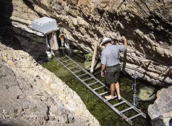 沙漠鱼濒临灭绝,全球仅剩38条的沙漠鱼怎样