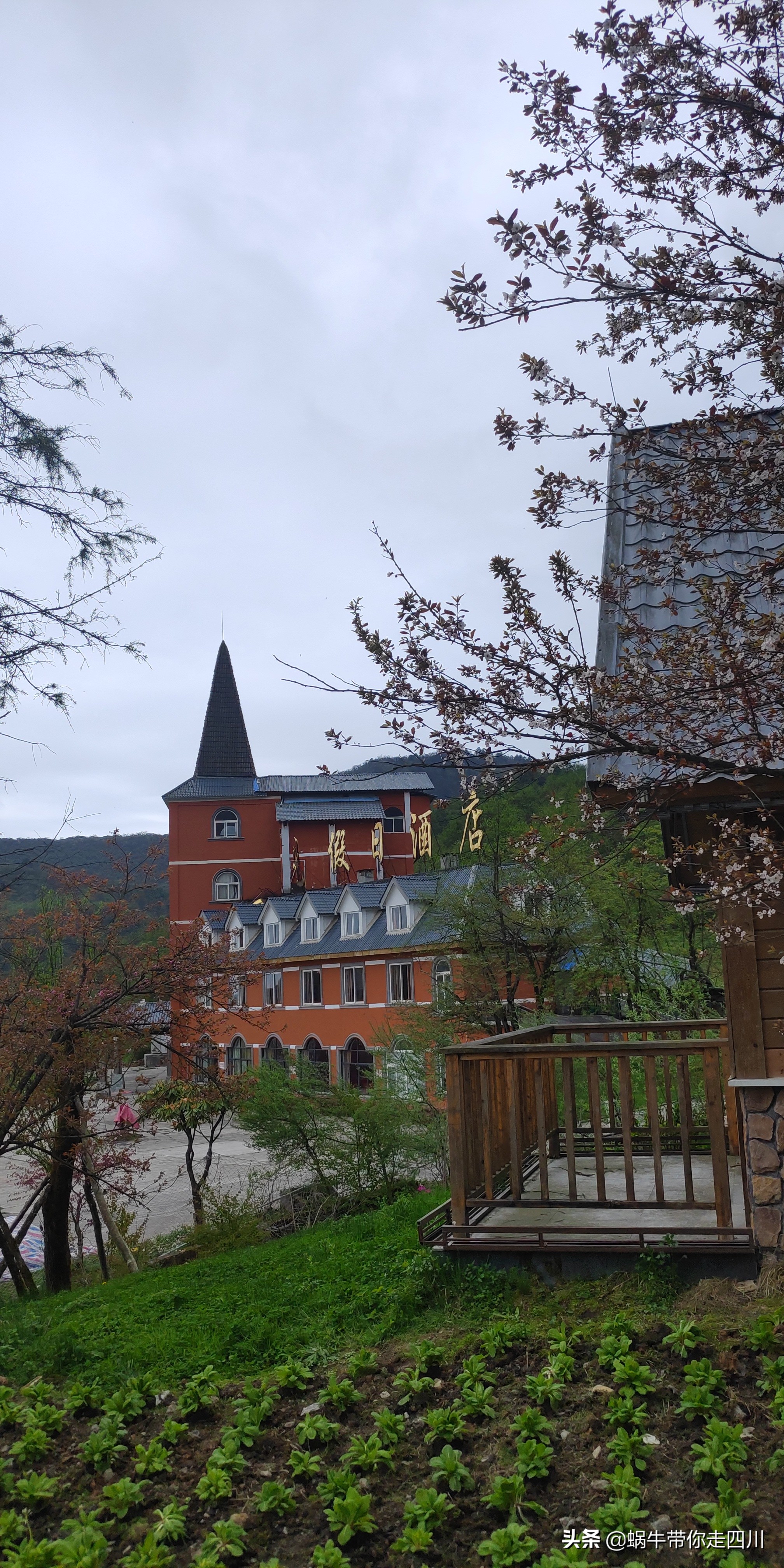 成都去西岭雪山两天一夜旅游团,成都出发雪山旅游