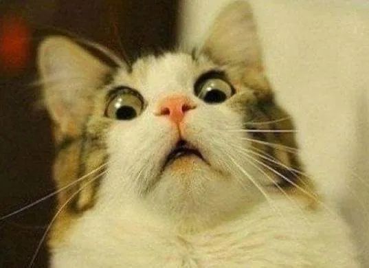 新繁今日现状,新繁最近事件