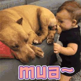 柳州市区十大网红民宿,柳州网红酒店住宿推荐