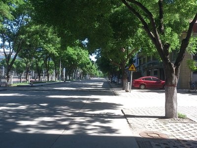 每日一校,每日一校简介