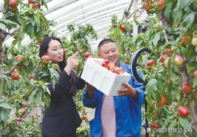 农产品花生直播卖货全套话术,农产品直播间逼单话术和技巧