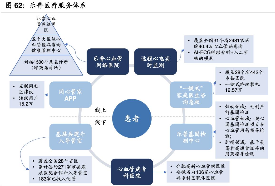 乐普医疗战略,乐普医疗心血管