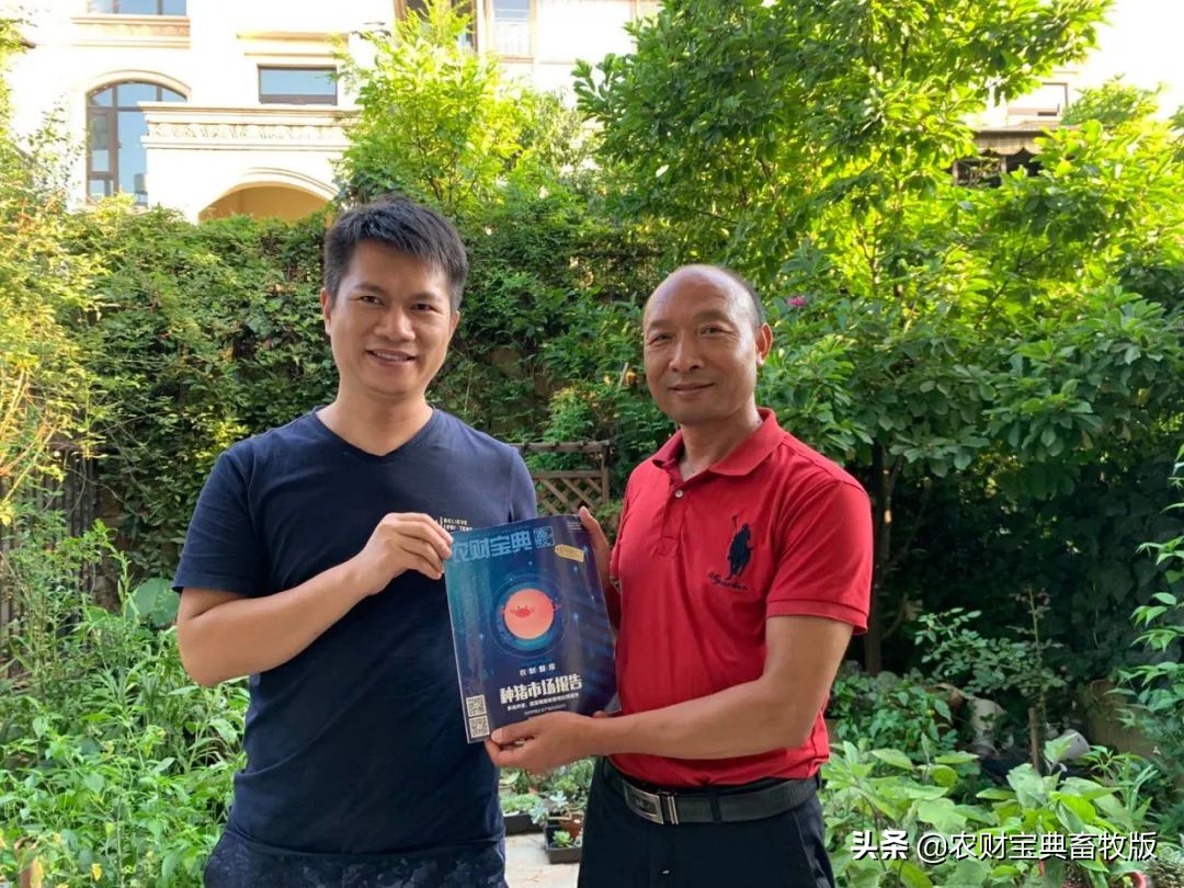 昆明盘古科技：“以茶会友”不走寻常路，主动拥抱无抗养殖大势|西南猪事