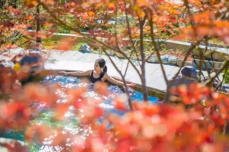 好吃好喝又好玩的大礼包,好吃又好玩大礼包