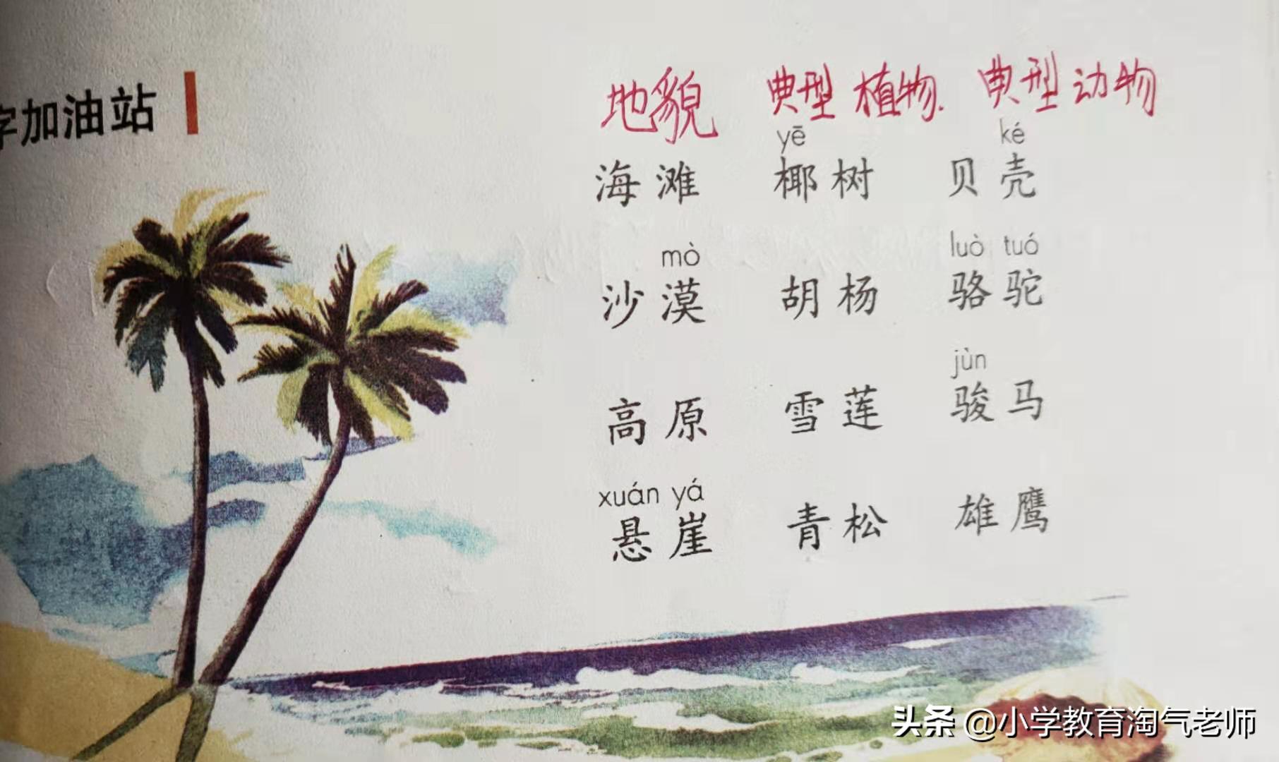 二年级上册七单元语文必考知识点,二年级语文期末试卷重点必考