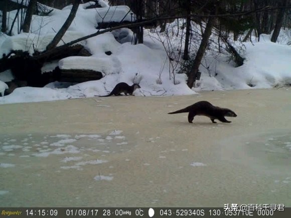 五月的最后一天是星期几,五月的第三个星期天是什么节日