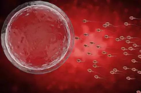 小腹疼还不是来月经是怎么回事,小腹偶尔疼痛但是不来月经