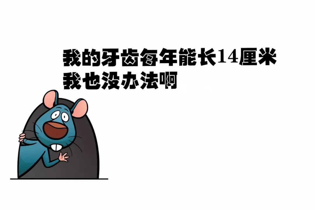 巴黎圣母院两个塔坍塌,一场大火毁了巴黎圣母院