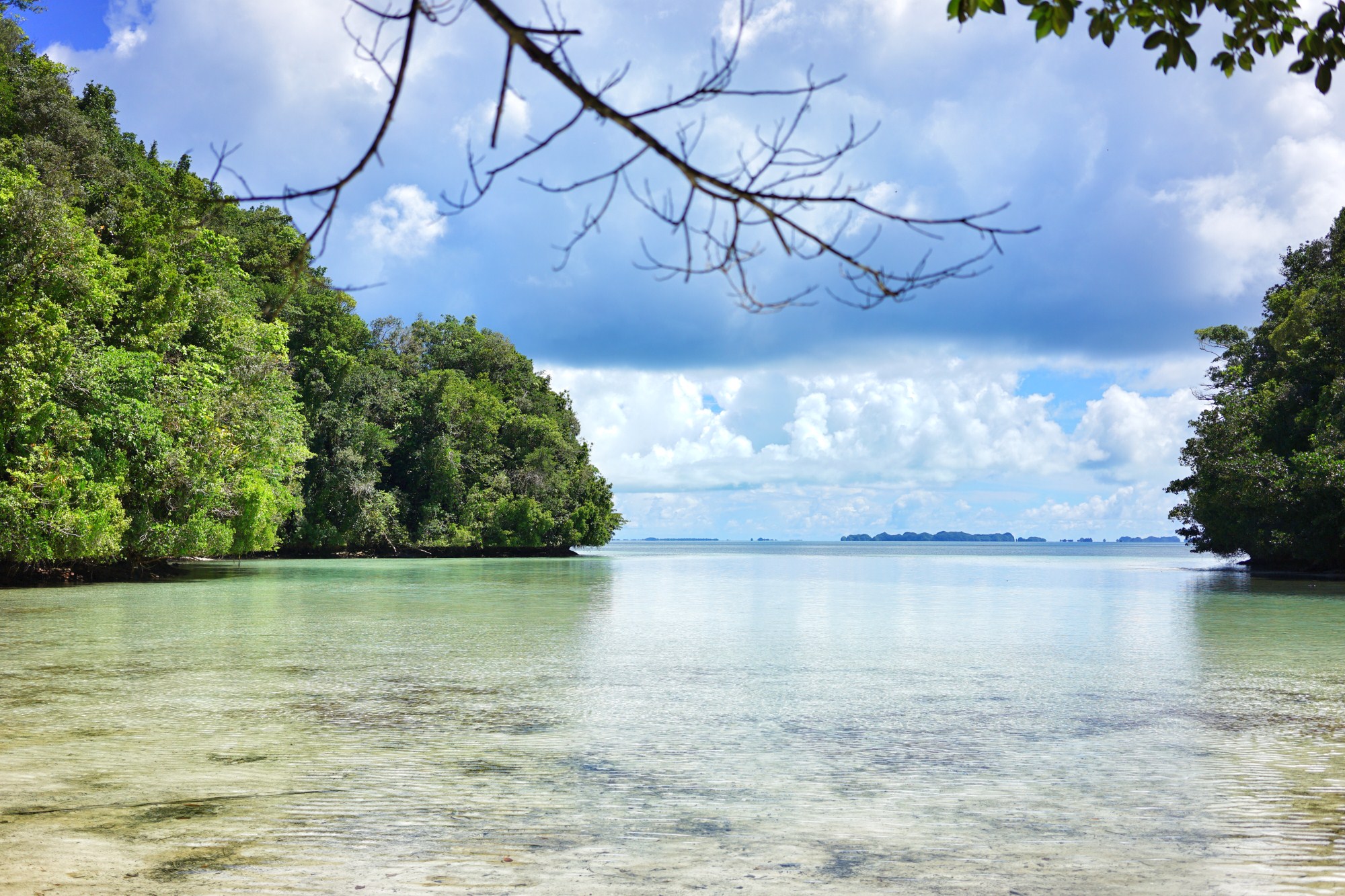 一定是特别的缘分——帕劳，再遇见「周若雪Patty」·上