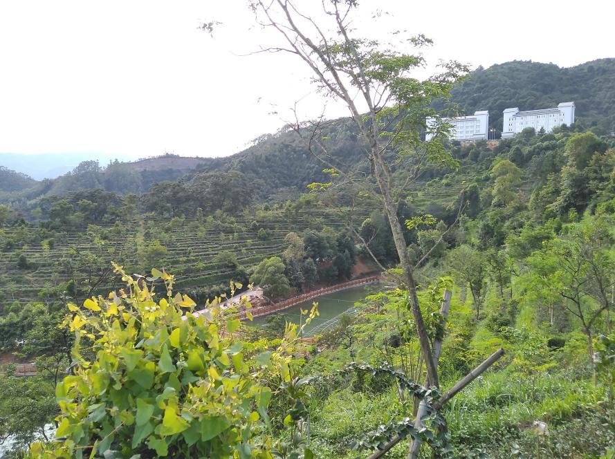 小孩为什么容易感冒咳嗽,小孩容易感冒咳嗽什么原因