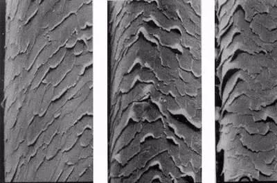 最全护发教程,修复烫染后受损发质头发护理