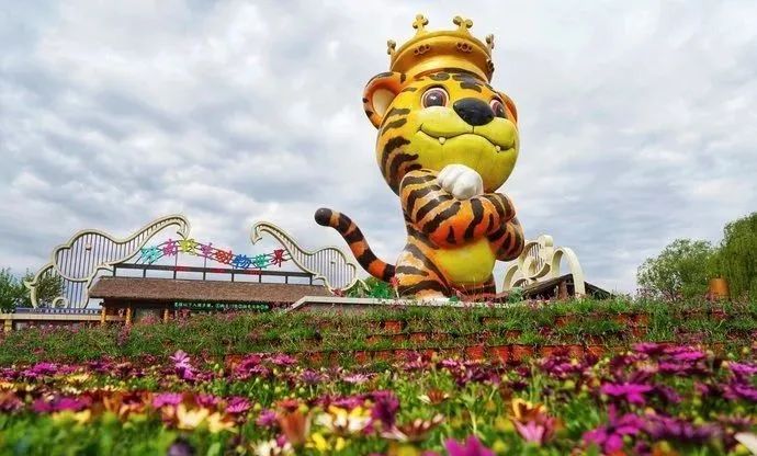 济南动物王国一日游详细攻略,济南一日游动物园