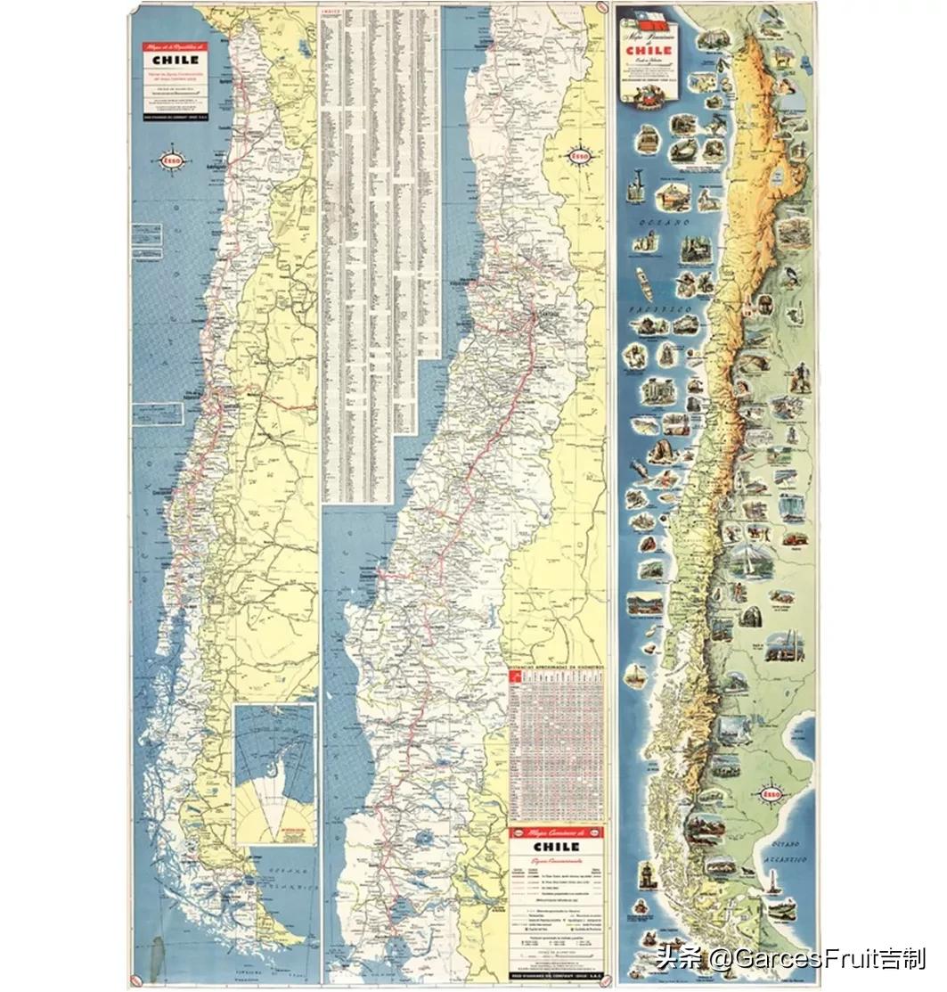 智利车厘子10大品牌,智利车厘子介绍视频