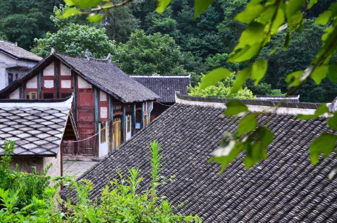 清明假期出游新热点贵州,清明贵州旅游自由行攻略