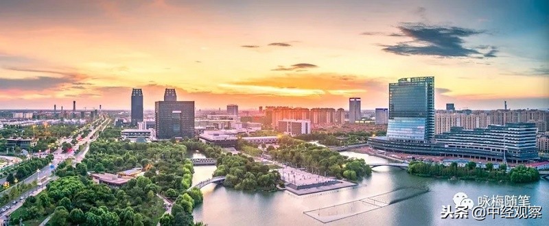 寻商,浔商——无木生财崛起绿色产业「三」