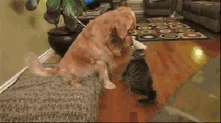 变废为宝绵羊毛衣,变废为宝旧毛衣